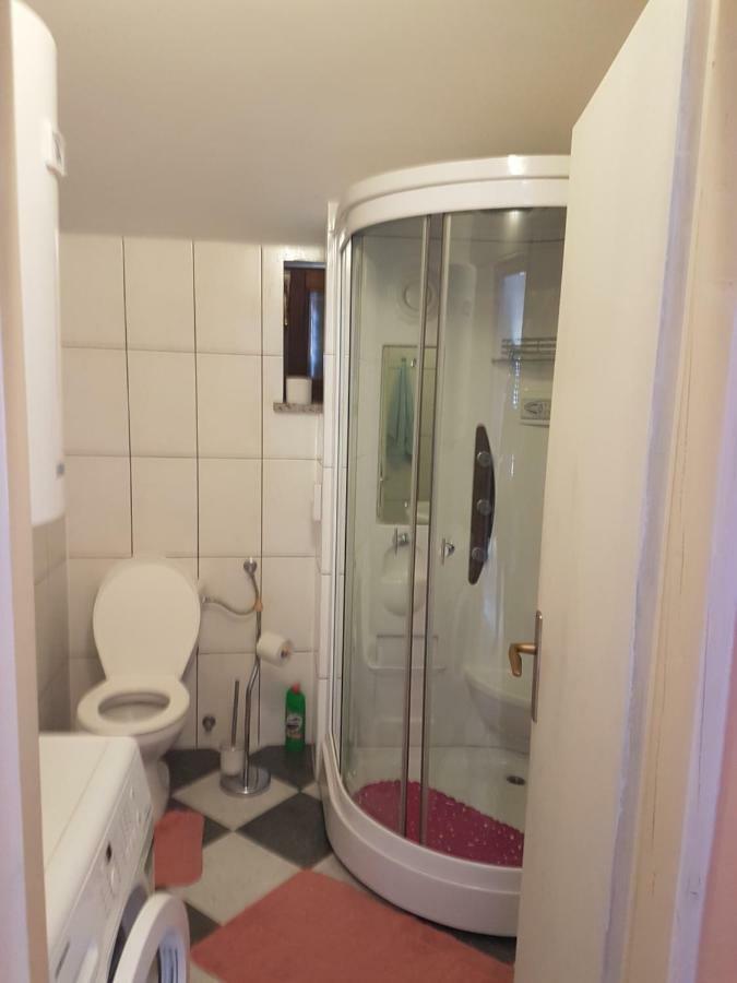 Apartman Vil Apartment Sveti Vid-Miholjice Bagian luar foto